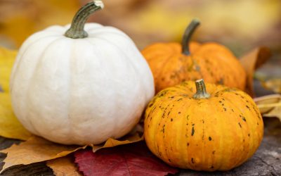 Pumpkin nutrition statistics you need to know