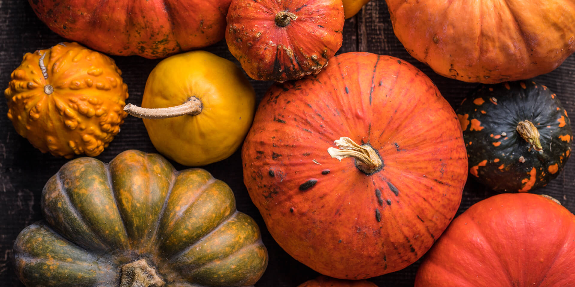 HOW TO STAY FIT AND HEALTHY AS HALLOWEEN APPROACHES The QHotels how-to-stay-fit-and-healthy-as-halloween-approaches-the-qhotels