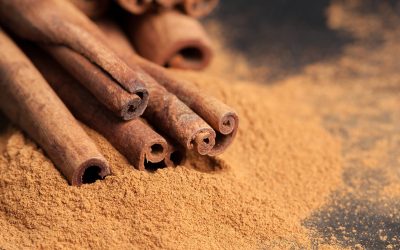 WHY CINNAMON IS SO MUCH MORE THAN JUST A FESTIVE SPICE