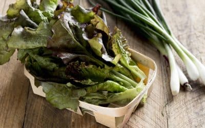 Greens of Spring: Fresh Seasonal Produce to Reboot Your Diet