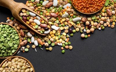 Seasonal Immunity: Harnessing Autumn’s Best Ingredients